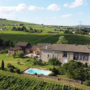 Domaine David-beaupère Juliénas